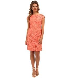 Like New! Vince Camuto Lace Dress w/t Back Cut Out